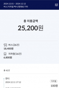 대중교통