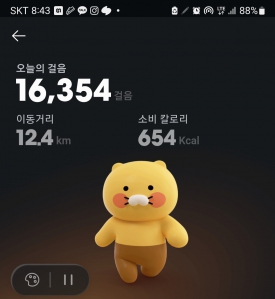 매일걷기! 16000보!