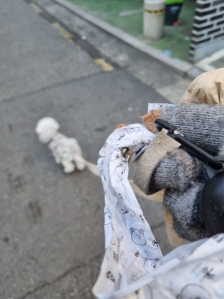 펫배변봉투사용인증