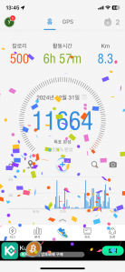 2024년 마지막날 2023보 이상 걷디 성공