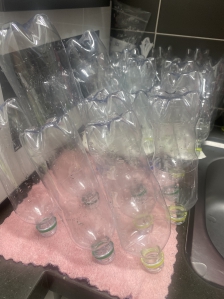 분리수거 챌린지 참가하려고 페트병 싹 씻었어요 