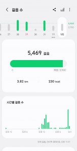 하루 2000보 걷기