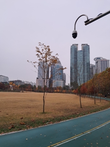 매일걷기. 오늘도  걸었어요