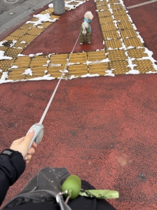 오늘도 똥봉투와함께산책