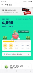 걸음 2025보 이상 인증