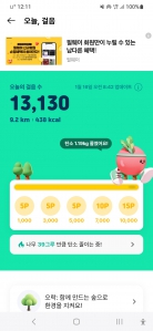 걸음 2025보 이상 인증