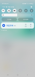 열심히 몇정거장 걸어 만보걷기^^