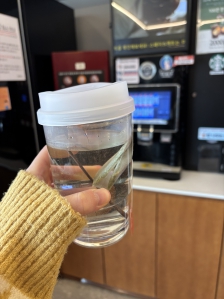 개인 텀블러 사용