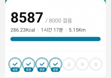 8000보