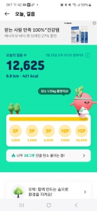 매일 꾸준히걷기