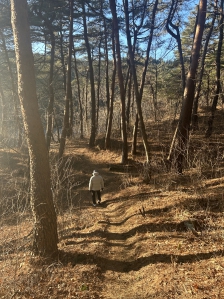 매일걷기챌린지