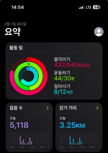 2023보 이상 걷기!