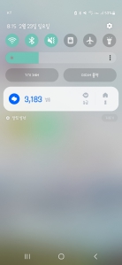 3천보 걷기 완료~