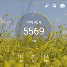 걷기 인증합니다.