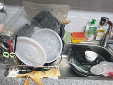 일주일을 시엄마간병으로 집을 비웠더니...ㅜㅜ