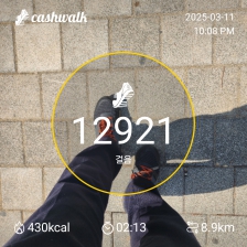 3월 11일 1만보 걷기