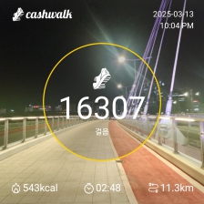 3월 13일 1만보 걷기