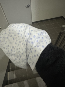 25.03.18 손수건챌린지