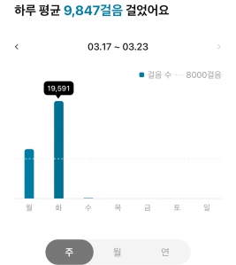 하루 8천보 목표 꾸준히!