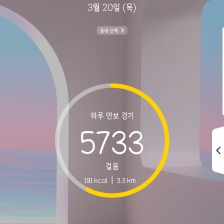 5733 걸음