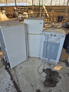 포인트 지급 요청