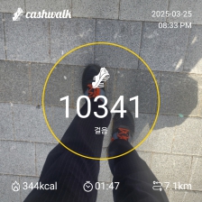 3월 25일 1만보걷기 