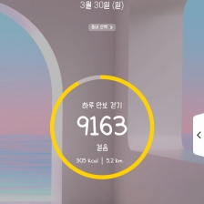 9163 걸음