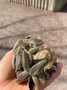 오늘처음실천하는 환경살리기