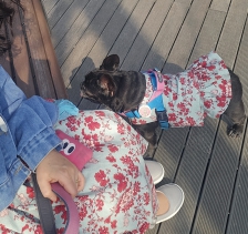 배변봉투는 필수^^