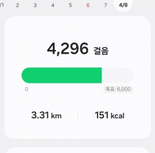 2023보 걷기완료