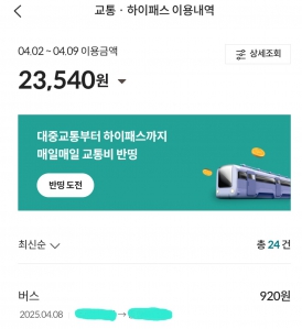 대중교통 
