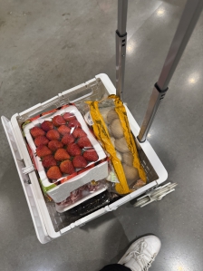 월급받고 트레이더스 장보기 ㅋㅋ