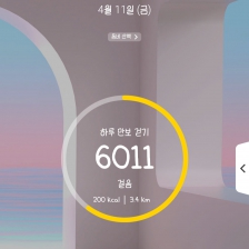 6011 걸음