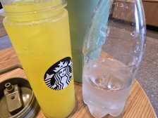 오늘도 카페에서 텀블러 사용, 일회용품 안받기