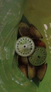 열심히모으고있는 캡슐