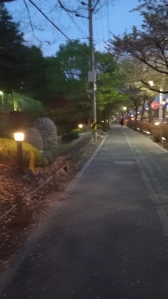 어머니집에서 저녁해먹고 걸어서 집으로가요