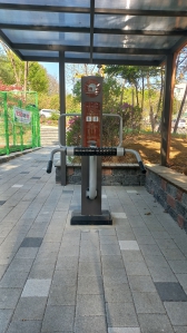 소소하게운동하기