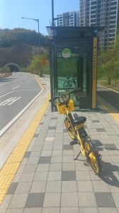 버스타고 일하러갔다와요