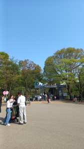 토요일이라 나들이 많이들왔네요