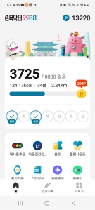 오늘도 요만큼 걷는중