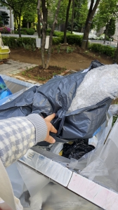 한국산림복지진흥원(치유원, 숲체원)