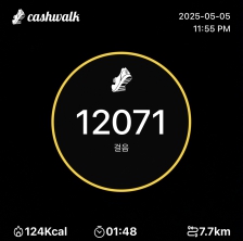 2023보 이상 걷기