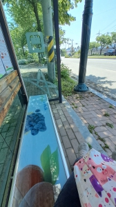 대중교통이용하려고 기다리고 있어요.