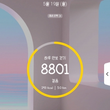 8801 걸음