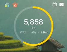 더워지기전에 걸어다니기