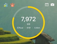 가까운 거리는 걷기