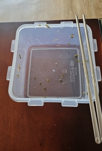 맛있는 점심먹었어요 흔적도 없이~ㅎㅎ