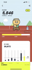 조금밖에 못 걸었네요 ㅠㅠ