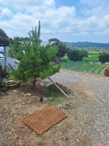 시멘트보단 돌이나 흙으로