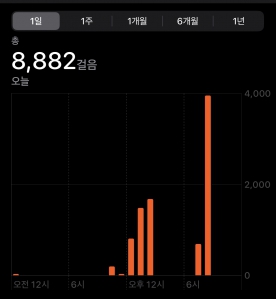 여름이지만 건강도 챙기고 교통비도 아낄겸 걸었어요.